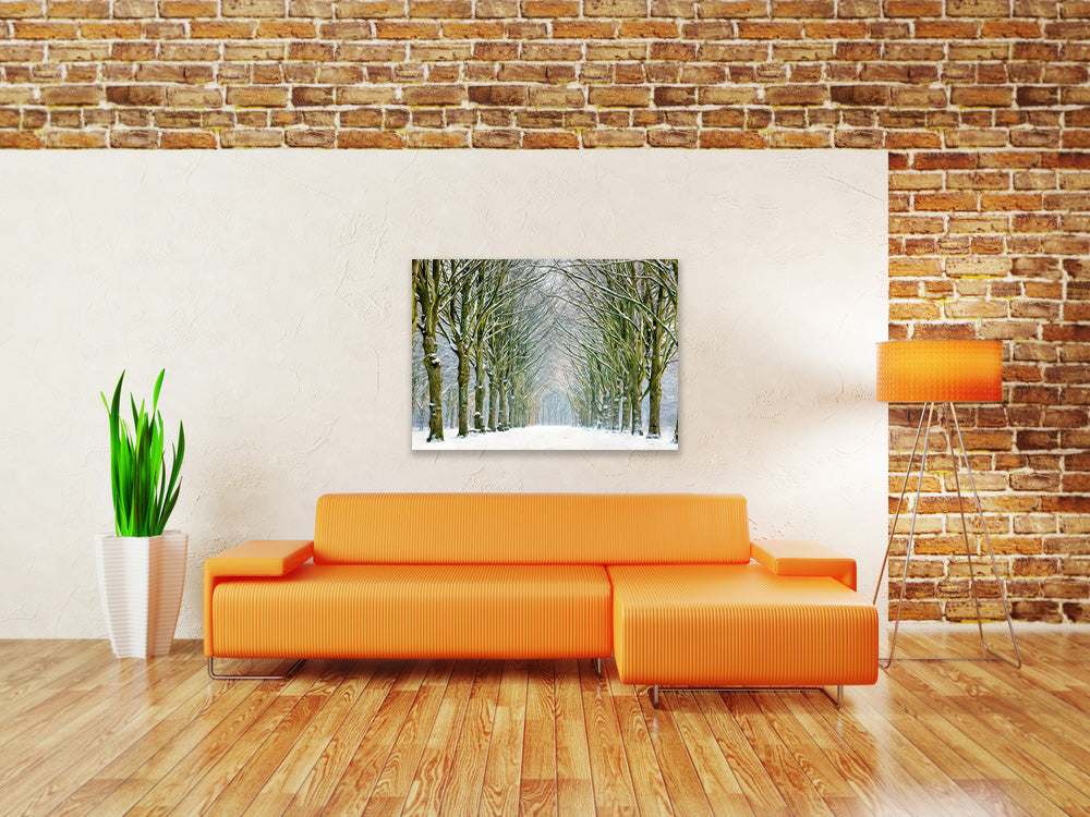 Tunnel of Trees Walldecoration Wandkraft
