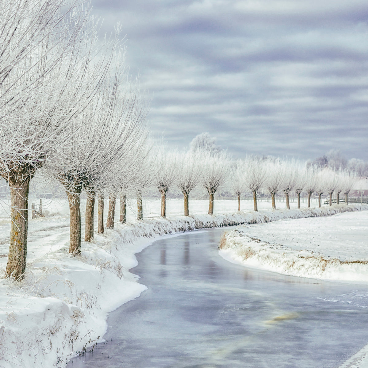 Winter in Holland Walldecoration Wandkraft 74x74 cm Plexiglas Fine Art glans Aluminium Profiel