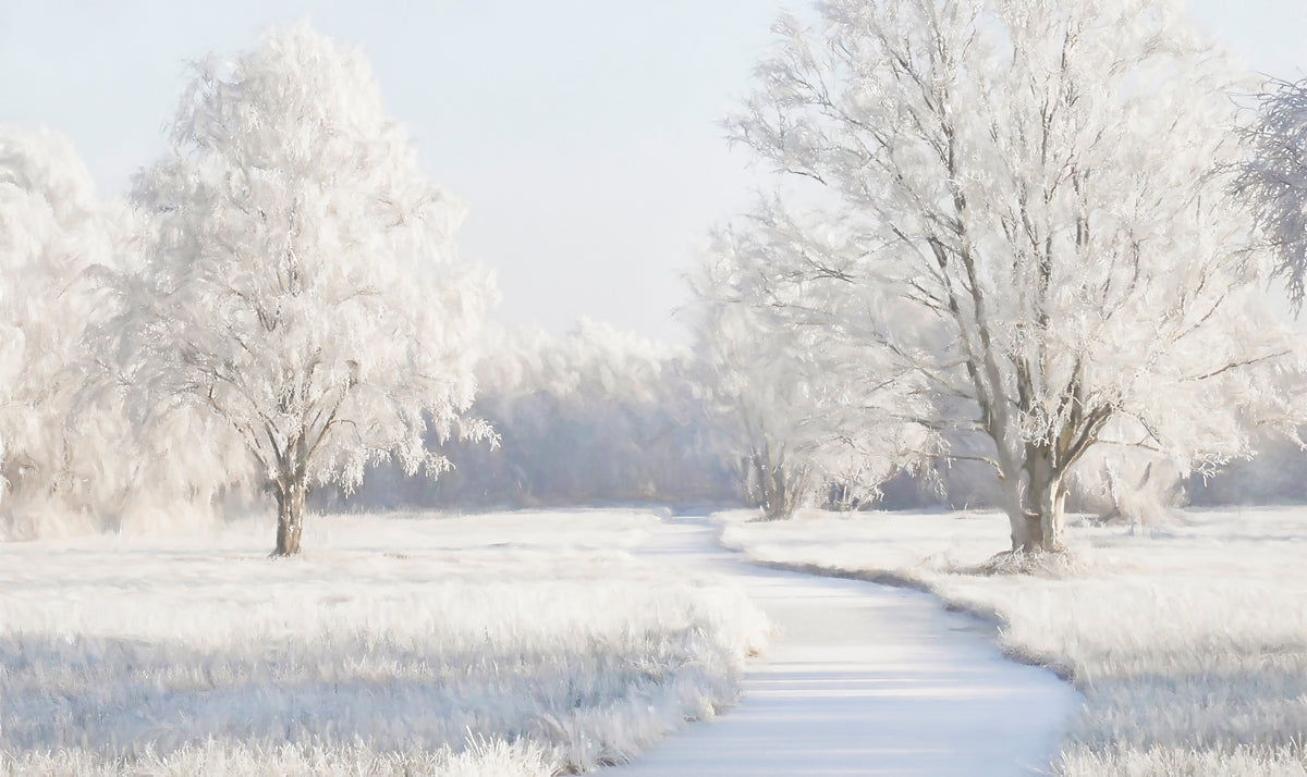 Winter Meadow Walldecoration Wandkraft 70x50 cm Plexiglas Fine Art glans Aluminium Profiel