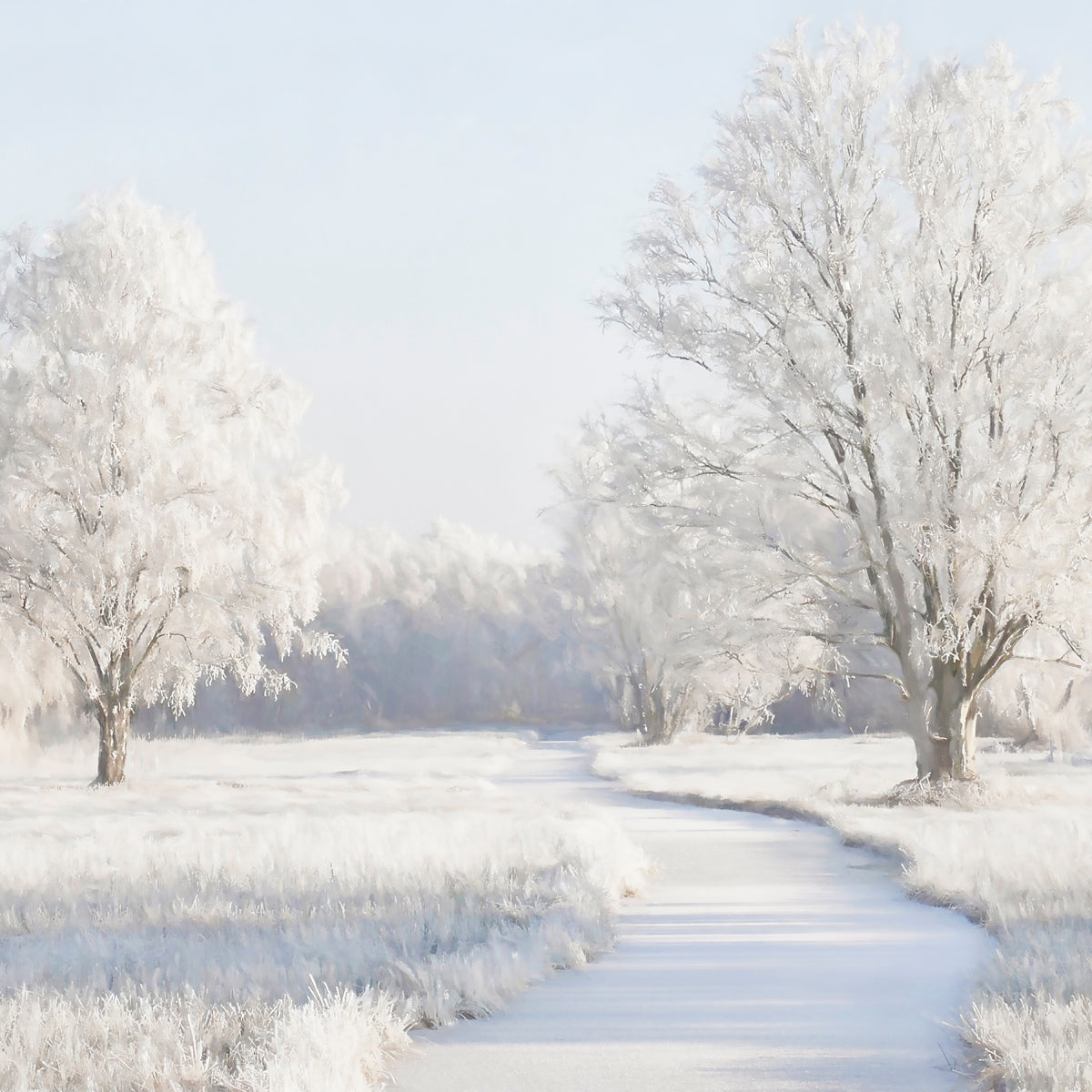 Winter Meadow Walldecoration Wandkraft 74x74 cm Plexiglas Fine Art glans Aluminium Profiel