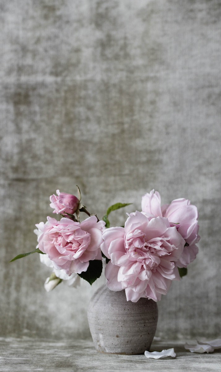Botanical Stories 006 Walldecoration Wandkraft