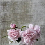 Botanical Stories 006 Walldecoration Wandkraft 70x118 cm