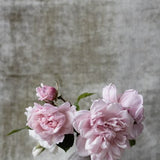 Botanical Stories 006 Walldecoration Wandkraft 70x118 cm