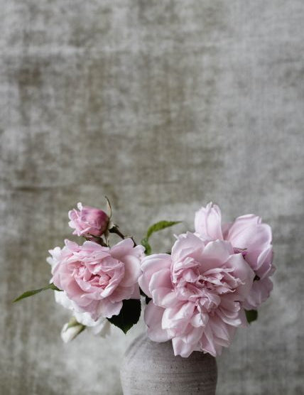 Botanical Stories 006 Walldecoration Wandkraft 70x118 cm