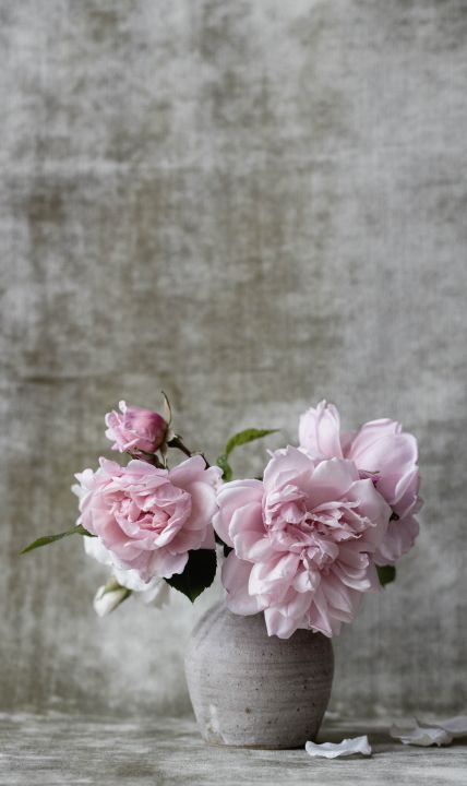 Botanical Stories 006 Walldecoration Wandkraft 70x118 cm