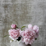Botanical Stories 006 Walldecoration Wandkraft 98x148 cm