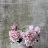 Botanical Stories 006 Walldecoration Wandkraft 98x148 cm