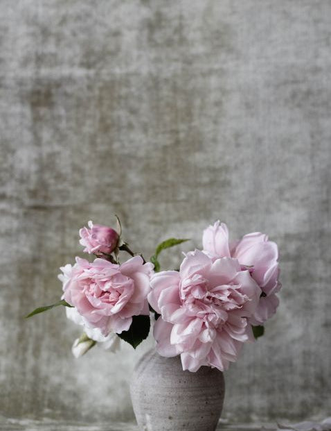 Botanical Stories 006 Walldecoration Wandkraft 98x148 cm