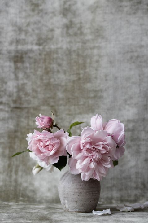 Botanical Stories 006 Walldecoration Wandkraft 98x148 cm