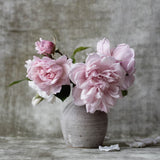 Botanical Stories 006 Walldecoration Wandkraft 74x74 cm