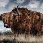 European Wildlife 001 Walldecoration Wandkraft 118x70 cm