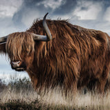 European Wildlife 001 Walldecoration Wandkraft 118x70 cm