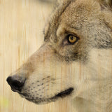 European Wildlife 002 Walldecoration Wandkraft 118x70 cm