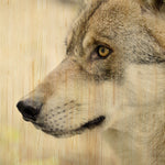 European Wildlife 002 Walldecoration Wandkraft 148x98 cm
