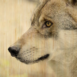 European Wildlife 002 Walldecoration Wandkraft 148x98 cm