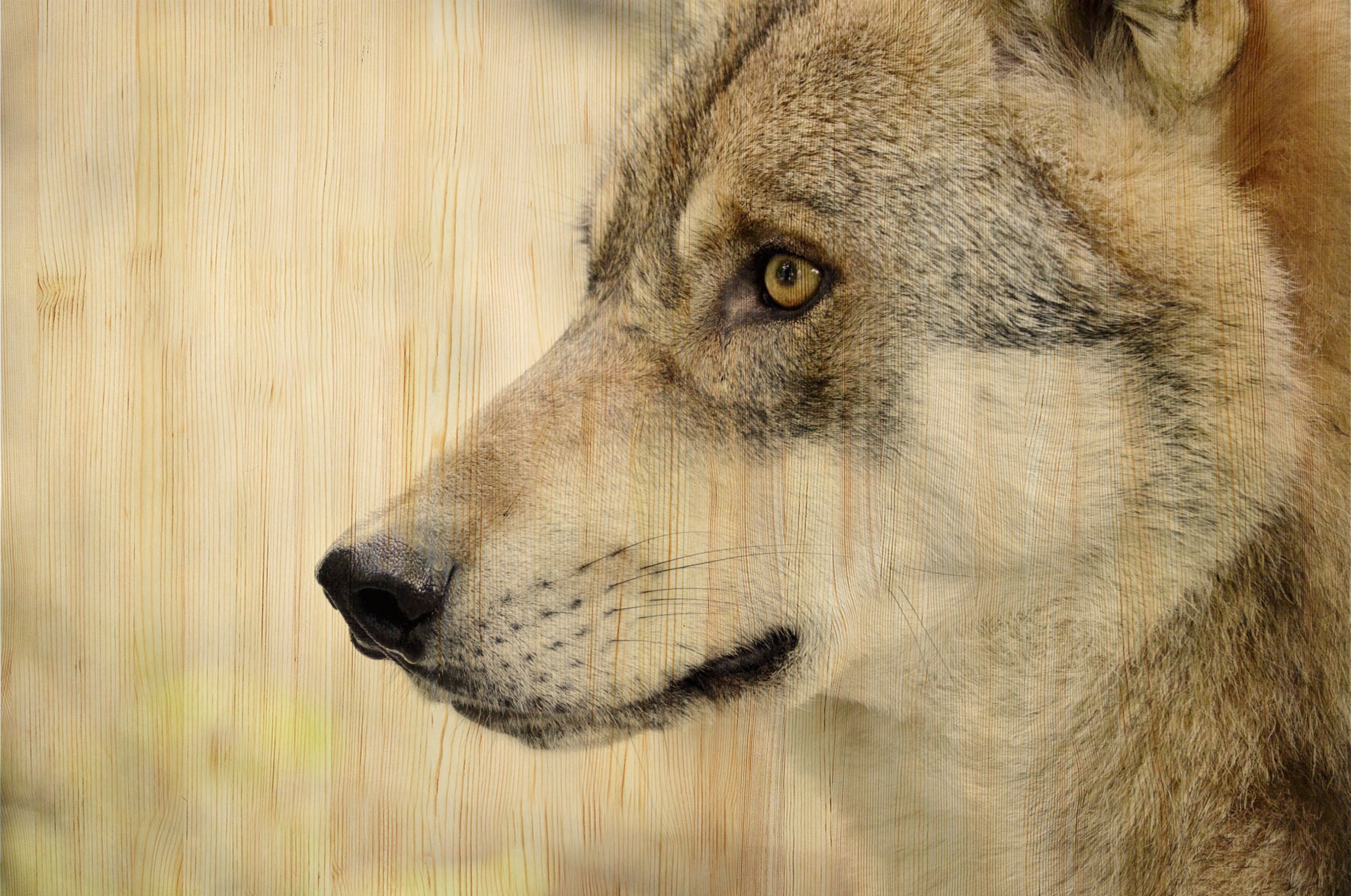 European Wildlife 002 Walldecoration Wandkraft 148x98 cm