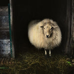 European Wildlife 004 Walldecoration Wandkraft 118x70 cm