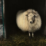 European Wildlife 004 Walldecoration Wandkraft 98x48 cm