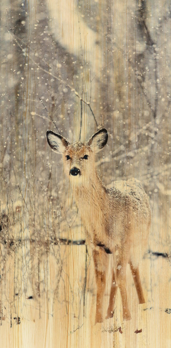 European Wildlife 007 Walldecoration Wandkraft 48x98 cm