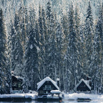 Winter Wonders 001 Walldecoration Wandkraft