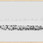 Winter Wonders 009 Walldecoration Wandkraft 118x70 cm A
