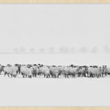 Winter Wonders 009 Walldecoration Wandkraft 118x70 cm A