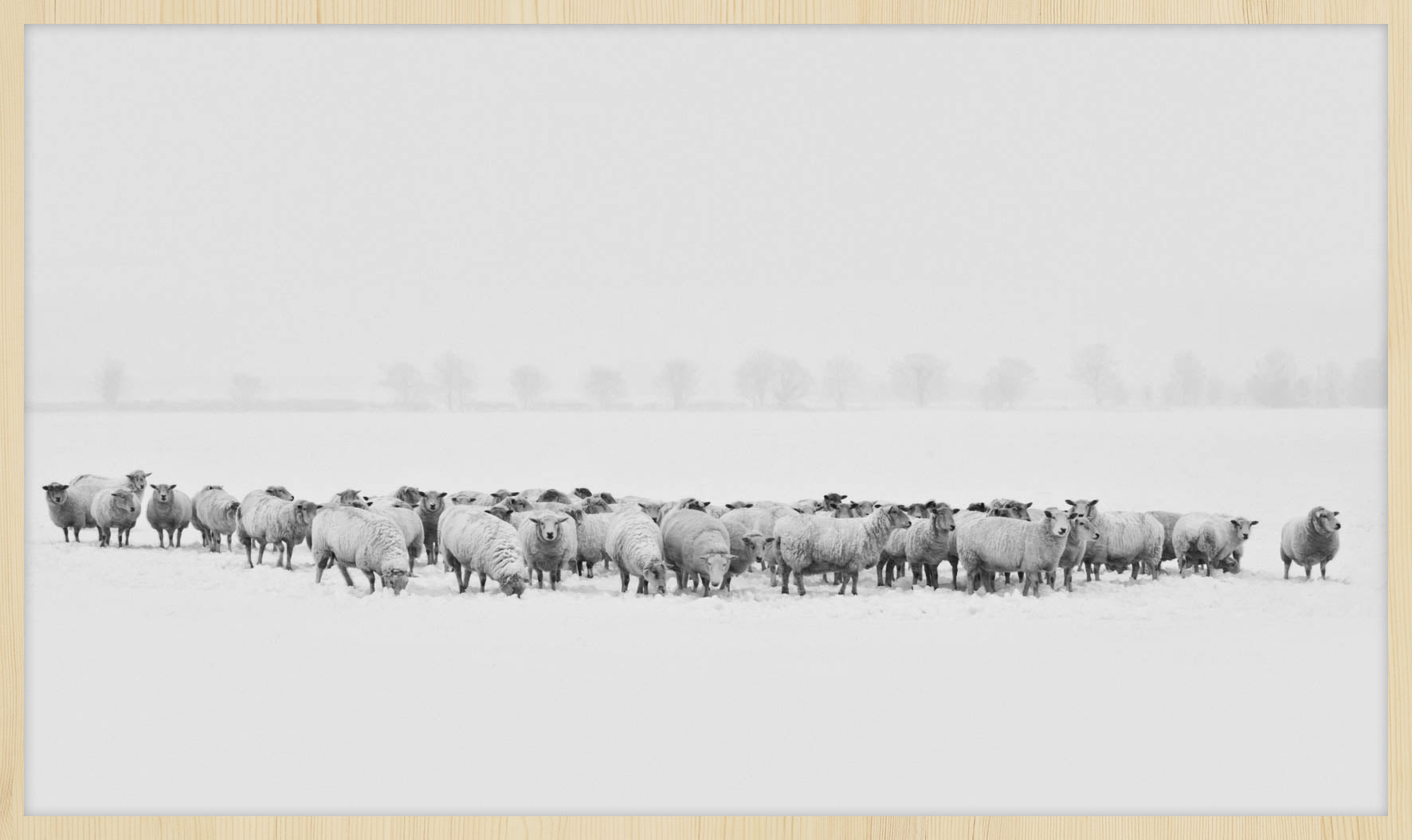 Winter Wonders 009 Walldecoration Wandkraft 118x70 cm A