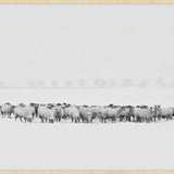 Winter Wonders 009 Walldecoration Wandkraft 148x98 cm A