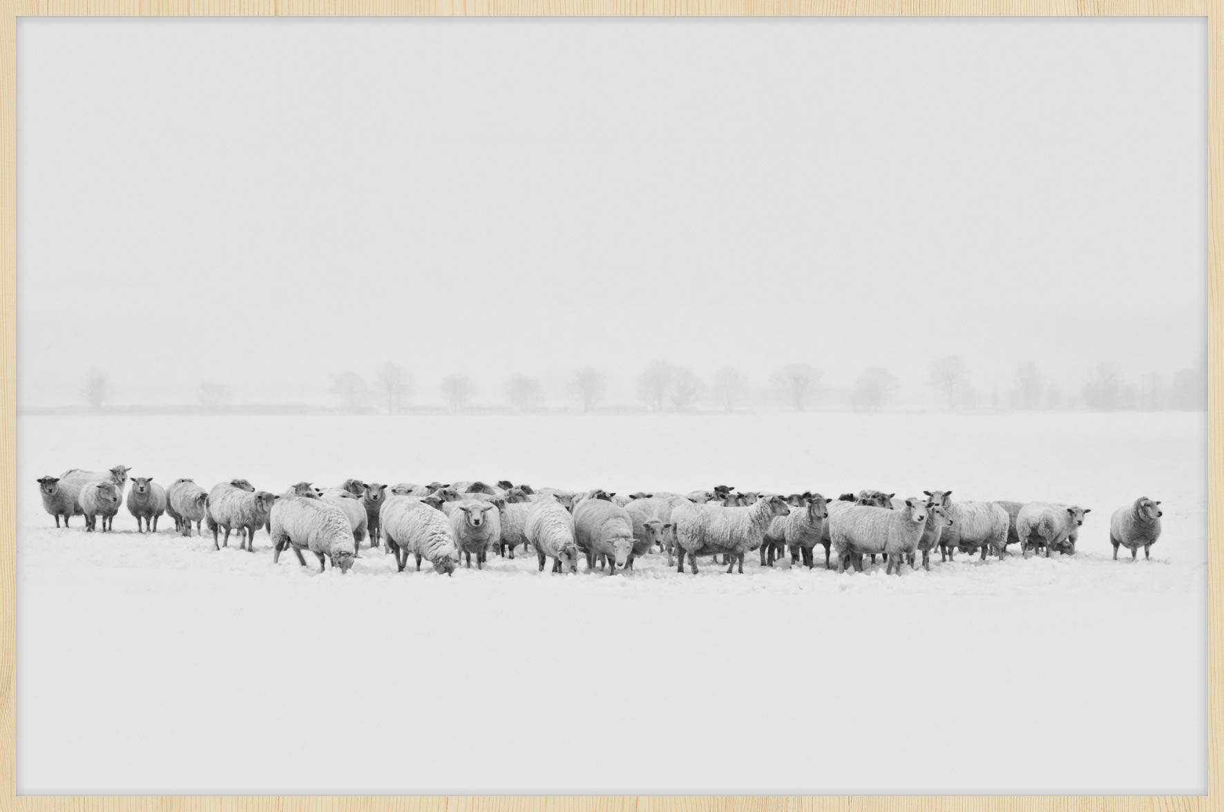Winter Wonders 009 Walldecoration Wandkraft 148x98 cm A