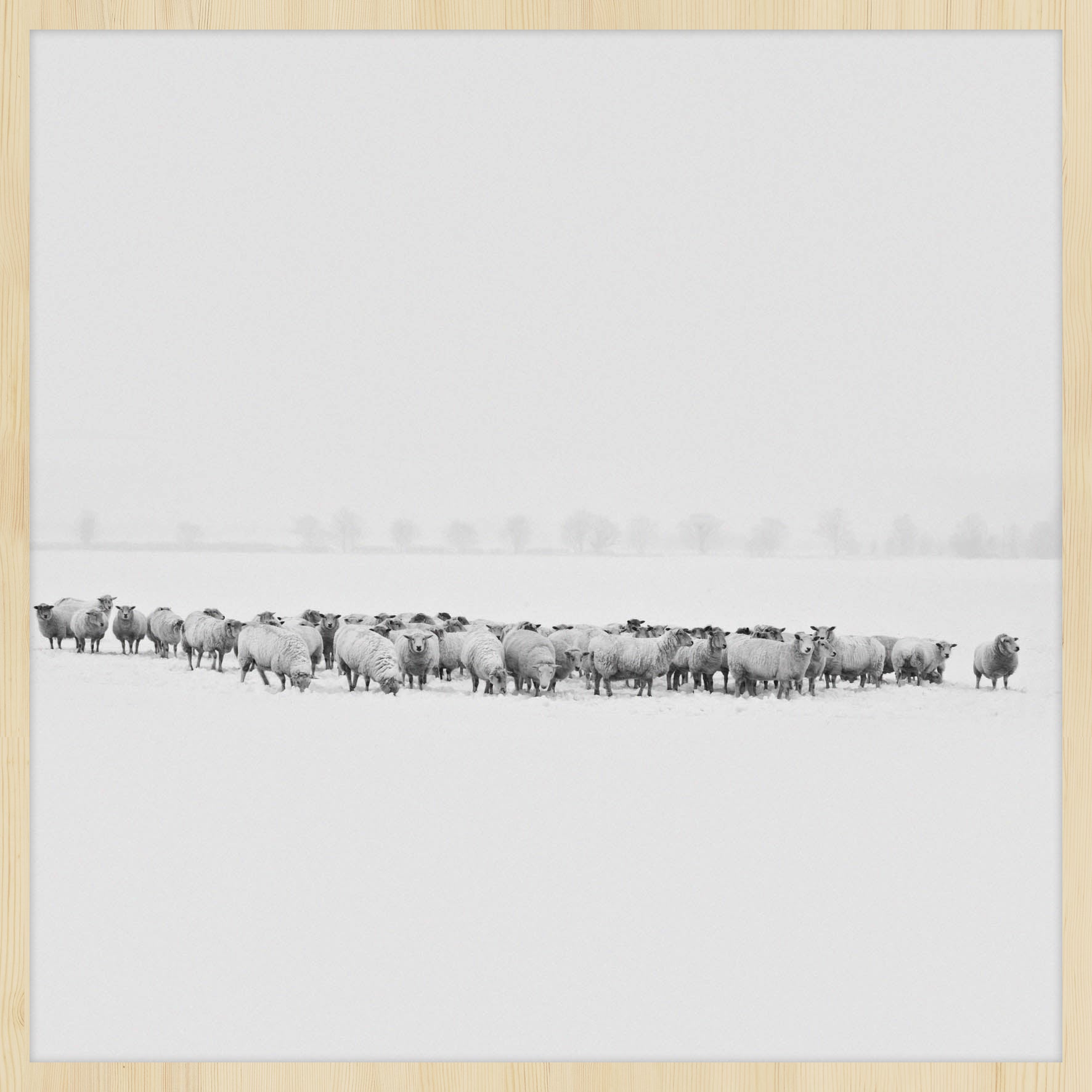 Winter Wonders 009 Walldecoration Wandkraft 74x74 cm A