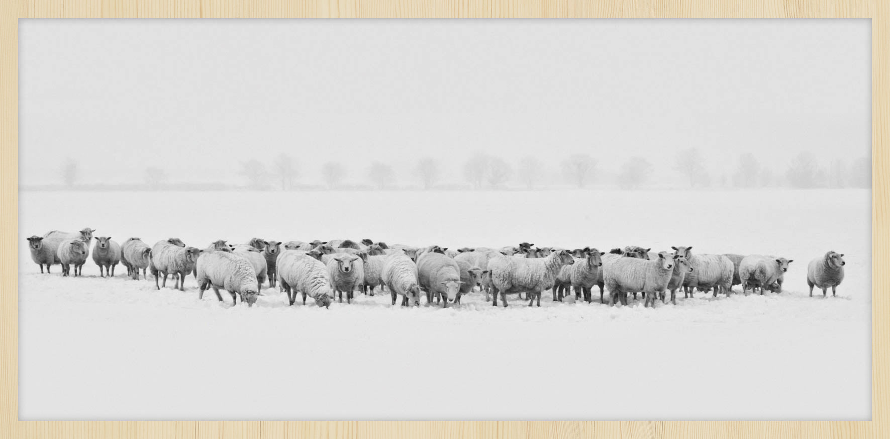 Winter Wonders 009 Walldecoration Wandkraft 98x48 cm A
