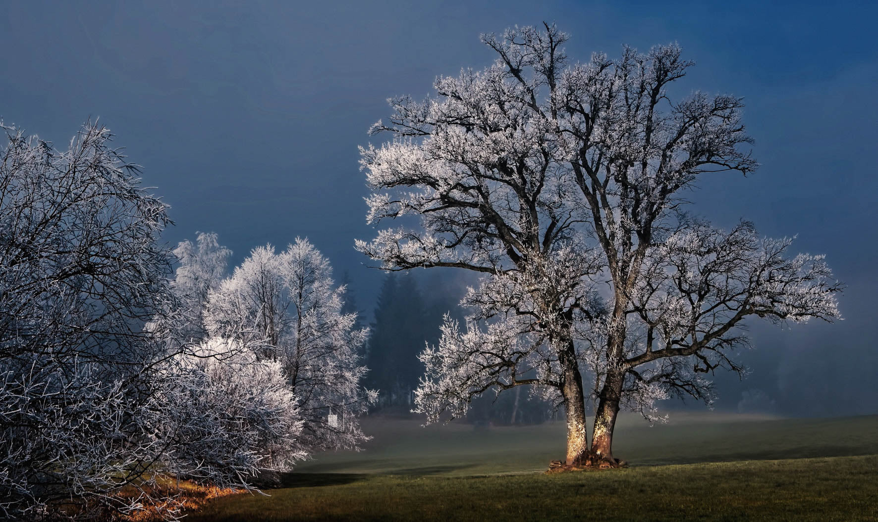 Winter Wonders 007 Walldecoration Wandkraft 118x70 cm