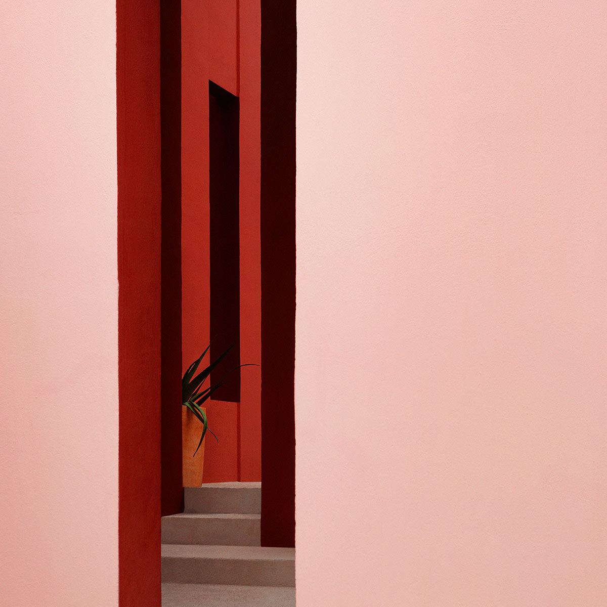 Secret Passage Walldecoration Wandkraft 74x74 cm