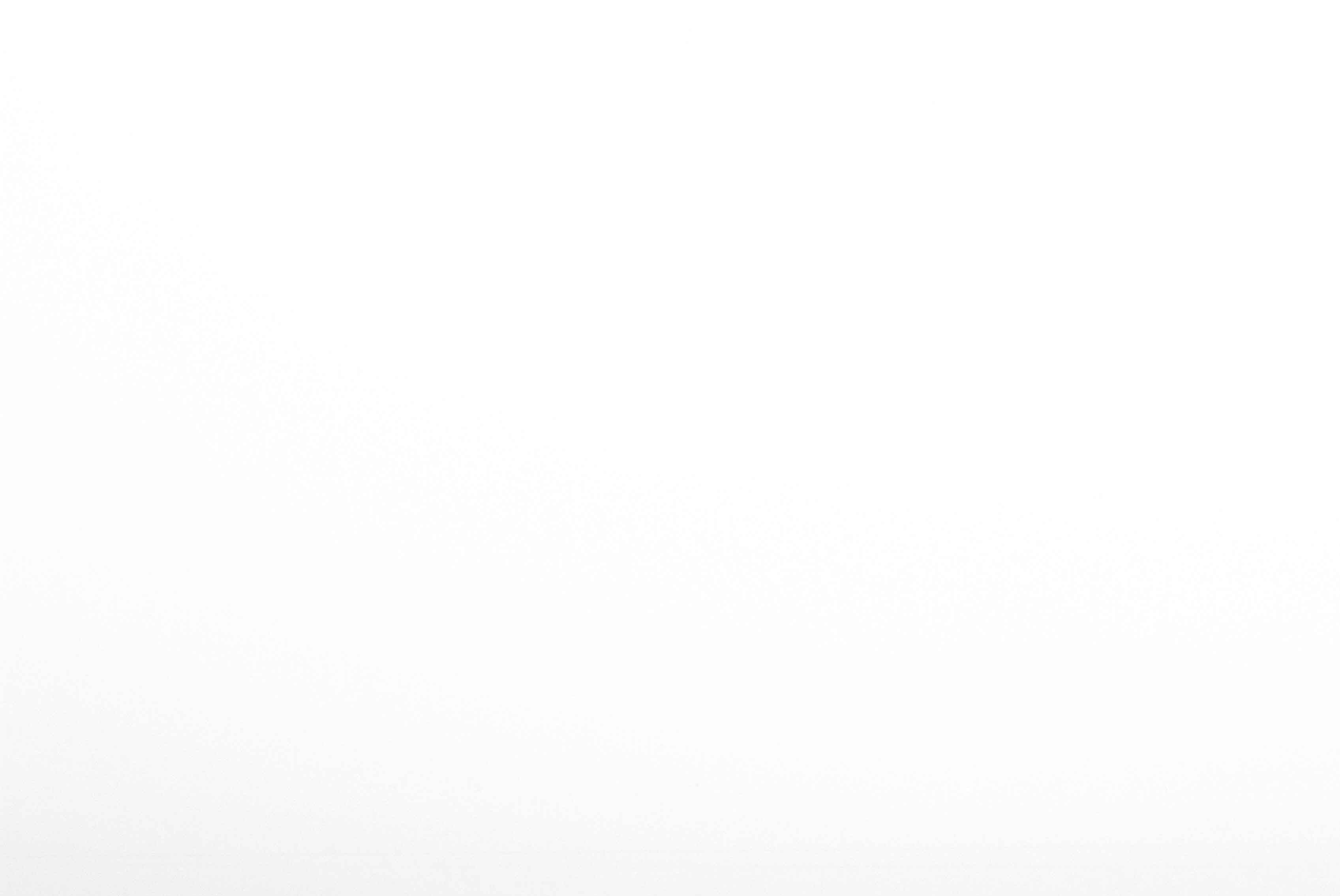 Zwanen Walldecoration Loods5