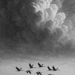 Mist Flight - zwart-wit dierportret, Wandkraft