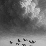 Mist Flight - zwart-wit dierportret, Wandkraft