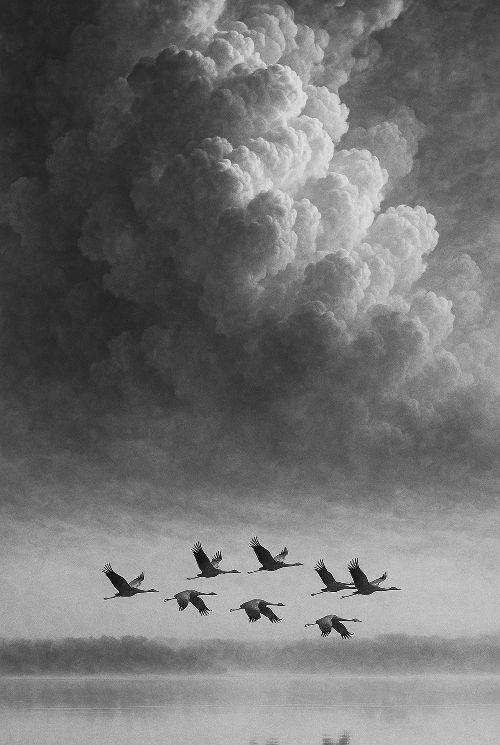 Mist Flight - zwart-wit dierportret, Wandkraft
