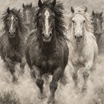 Cinq chevaux galopant de face dans la poussière, cheval sombre à liste blanche et cheval gris, Wandkraft