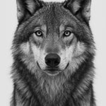 Pack Leader - zwart-wit dierportret, Wandkraft