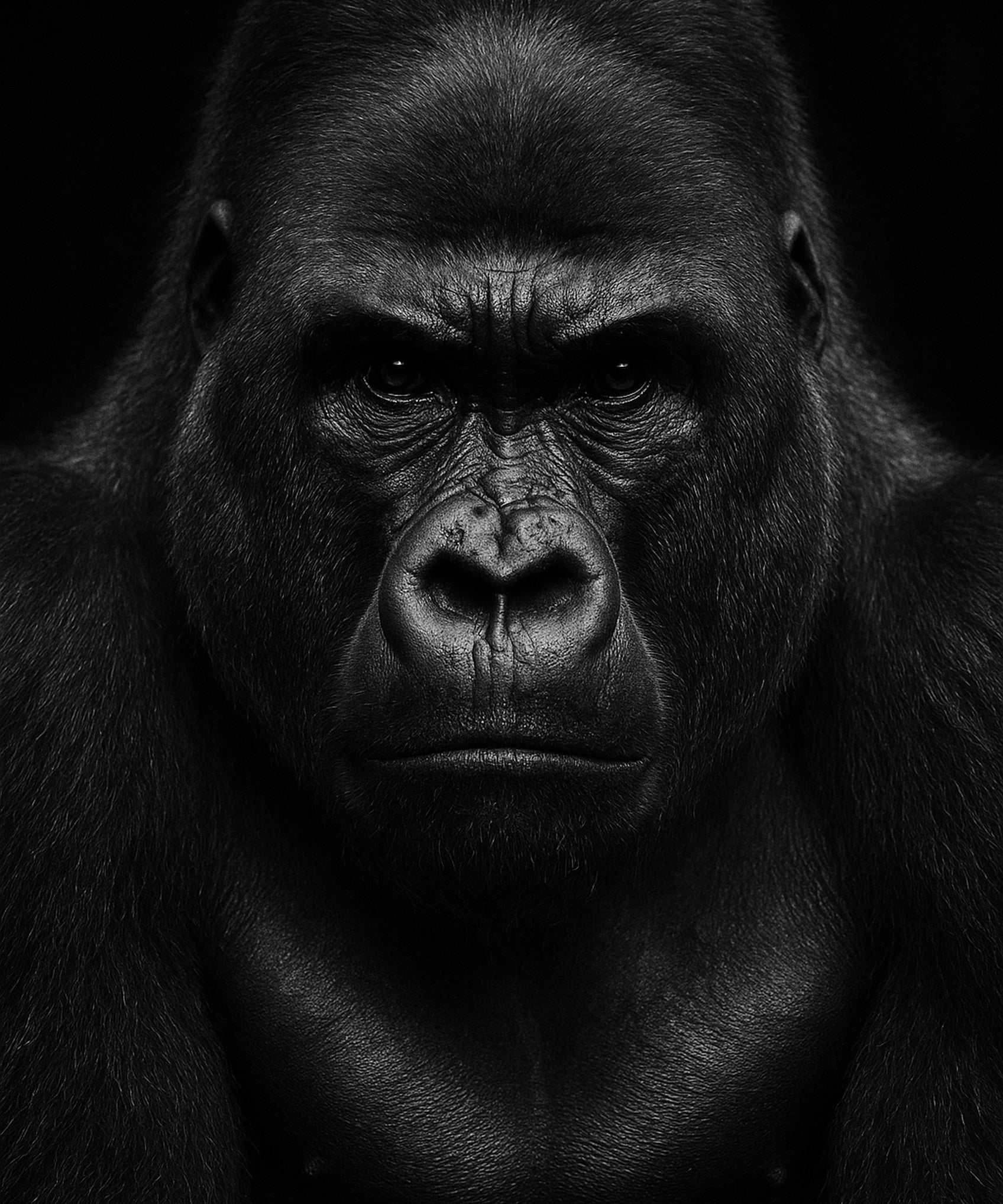 Quiet Kin - zwart-wit dierportret, Wandkraft