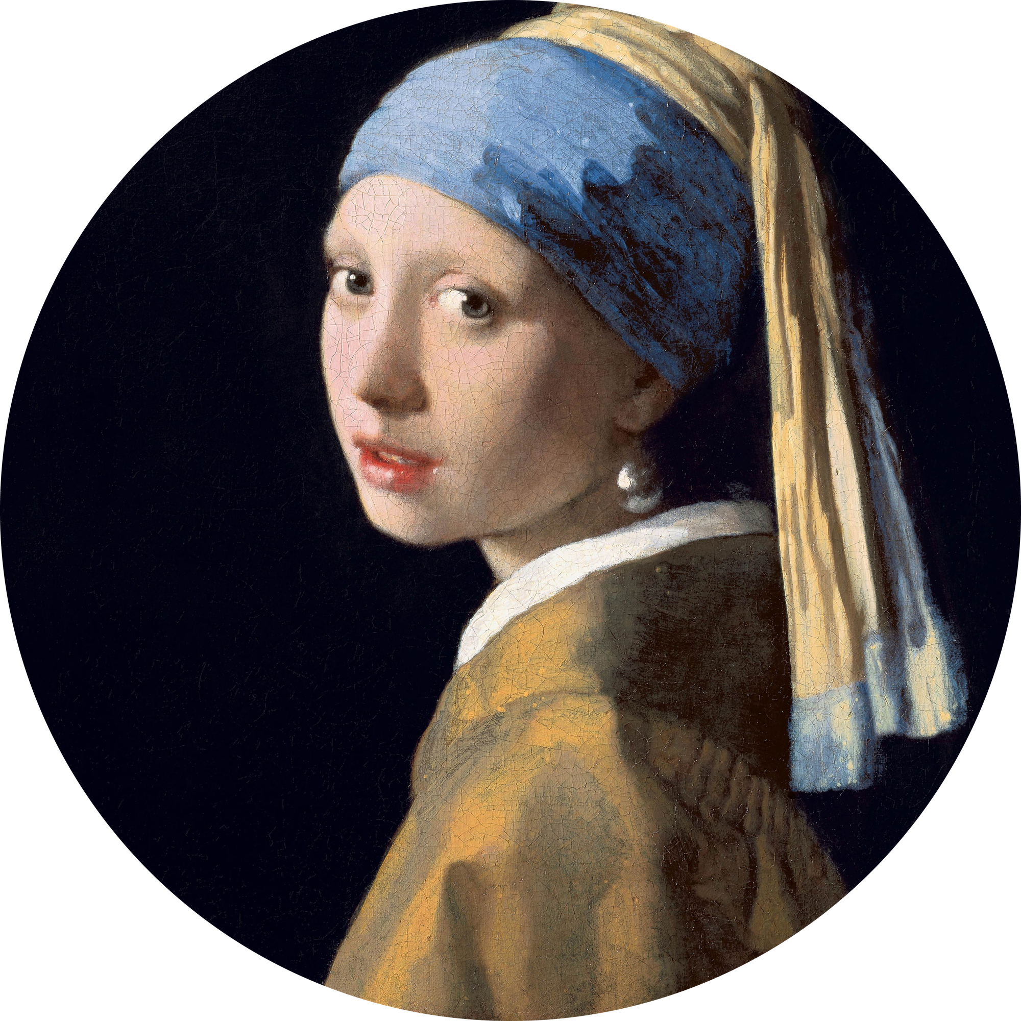 Pearl Glance, rundes Kunstwerk auf Dibond von Wandkraft, Dutch Masters