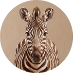 Striped Silence, rond kunstwerk op dibond van Wandkraft, Wildlife
