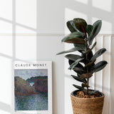 Monet’s Coastal Silence