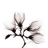 Art of Nature 014 Walldecoration Wandkraft
