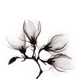 Art of Nature 014 Walldecoration Wandkraft 118x70 cm