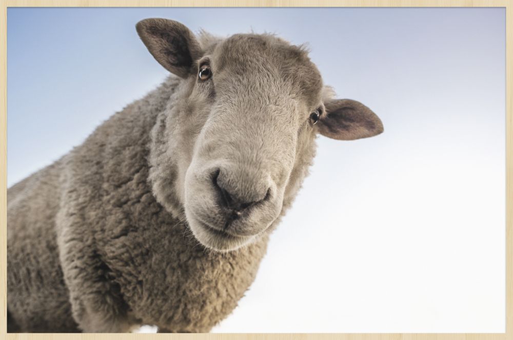 At the Farm 002 Walldecoration Wandkraft 98x48 cm