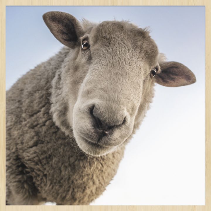 At the Farm 002 Walldecoration Wandkraft 74x74 cm