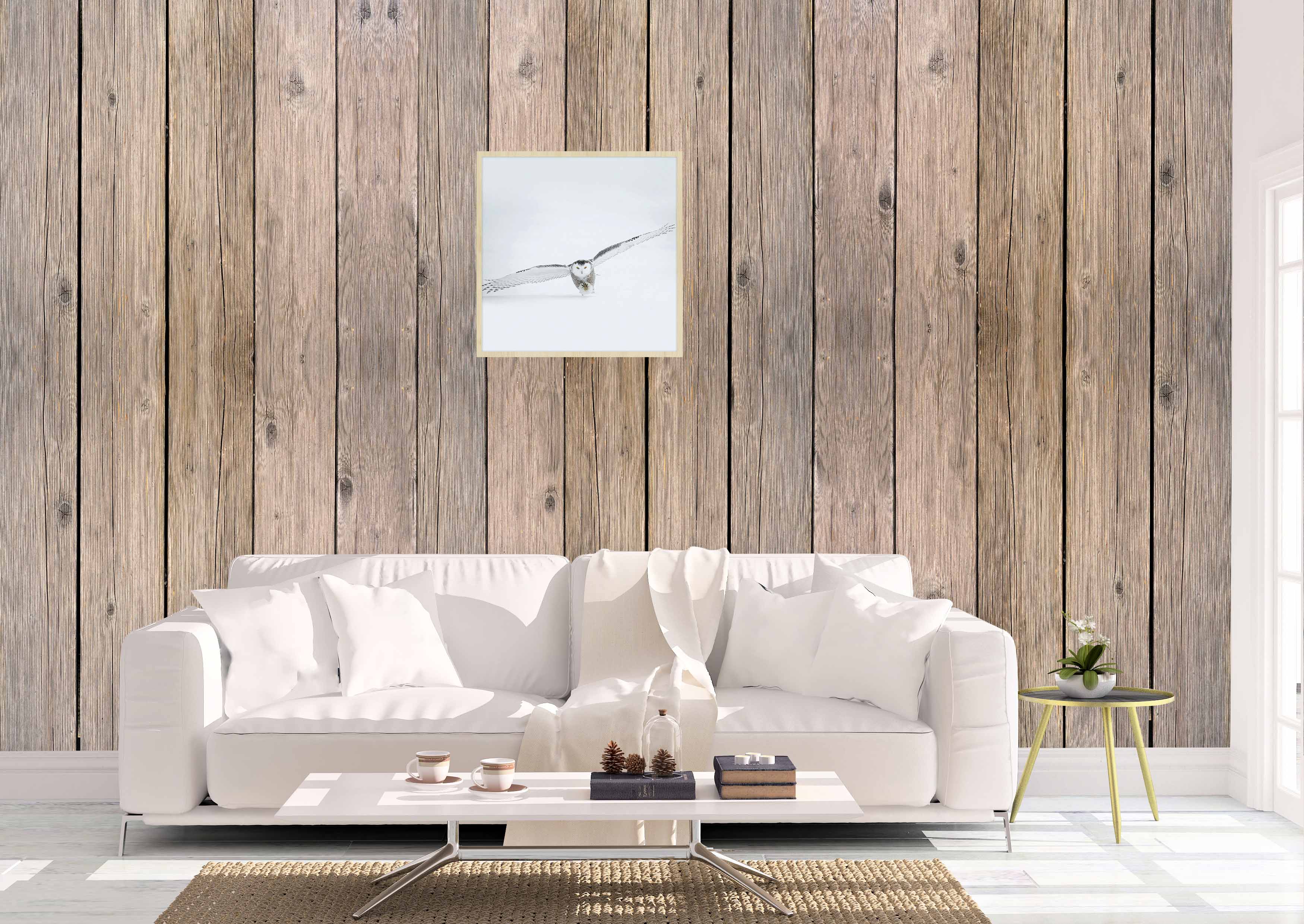 Bright Wings 008 Walldecoration Wandkraft