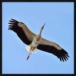 Bright Wings 021 Walldecoration Wandkraft