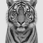 Silver Stripe - zwart-wit dierportret, Wandkraft